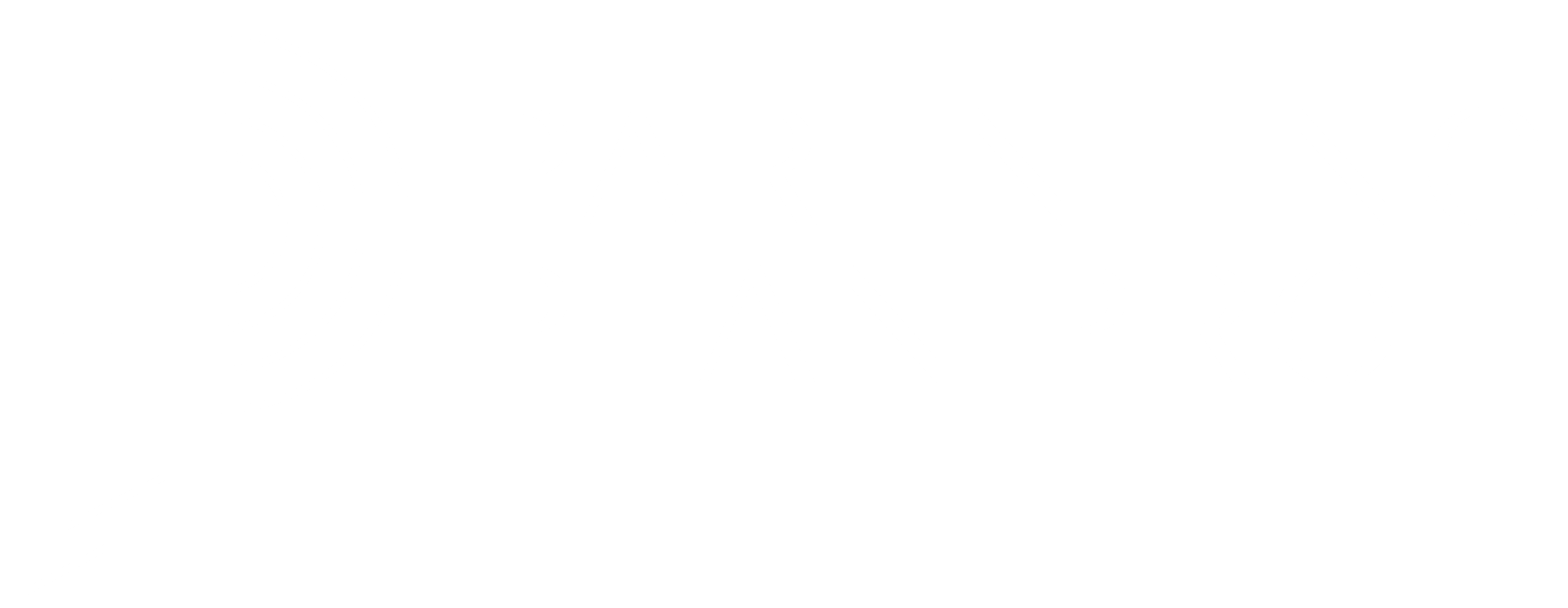 Parenting Plan Pro
